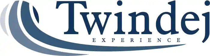 Twindej logo